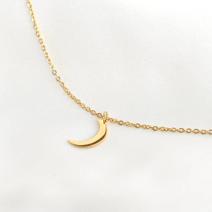 Eleanor Moon and Star Necklace- Waterproof Crescent Necklace : Silver