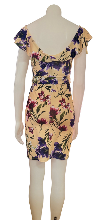 Women's Floral Mini Ruffle V-Neck Dress
