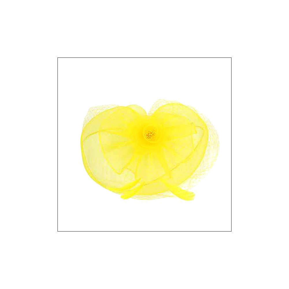 Flower Feather Mesh Fascinator / Headband: Orange