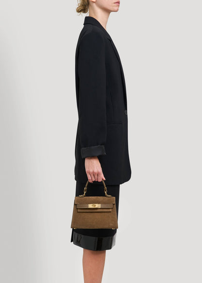 Victoria Bag in Taupe Suede and Dollar Leather